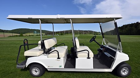 Der Fahrer des Golfcarts war betrunken. (Archivbild) / Foto: Martin Schutt/dpa