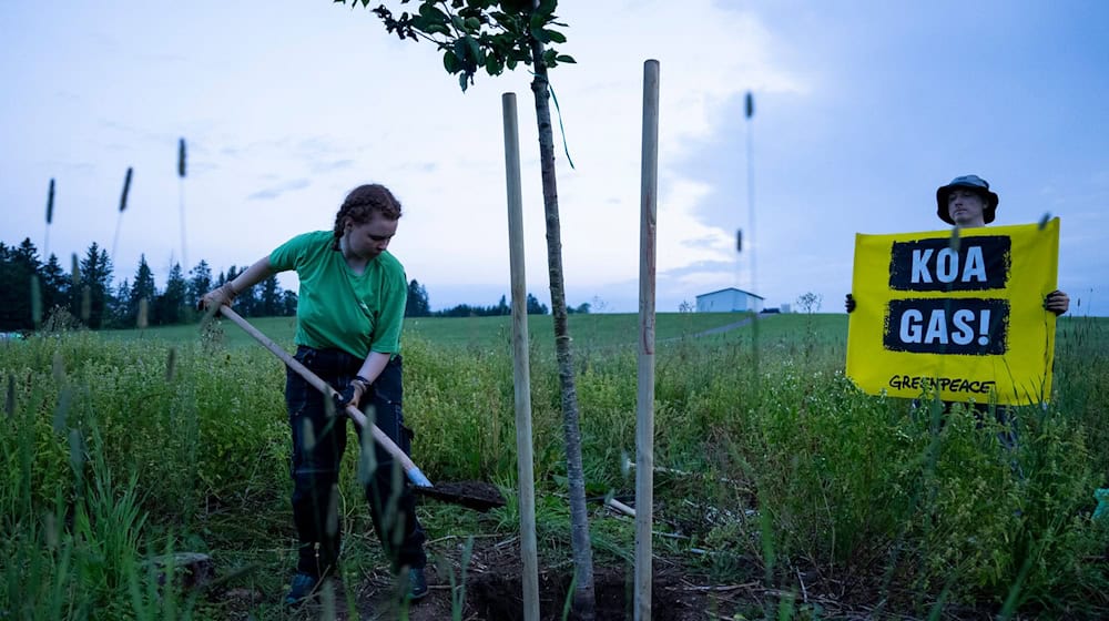 Aktivisten der Umweltschutz-Organisation Greenpeace pflanzen zum Protest gegen Gasbohrungen Bäume auf dem geplanten Bohrfeld. / Foto: Lennart Preiss/dpa