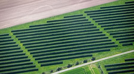 Entlang von Straßen sollen in Bayern mehr Solaranlagen entstehen. Ein neuer Datensatz hält mehr als 30.000 geeignete Flächen bereit. (Symbolbild) / Foto: Pia Bayer/dpa