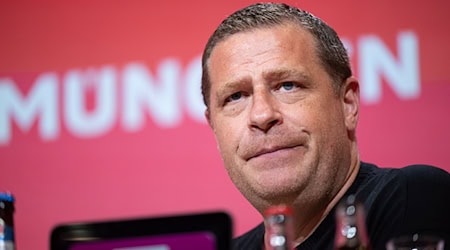 Bayern-Sportchef Max Eberl will Leverkusen-Boss Fernando Carro nicht verbal angreifen. / Foto: Lukas Barth/dpa