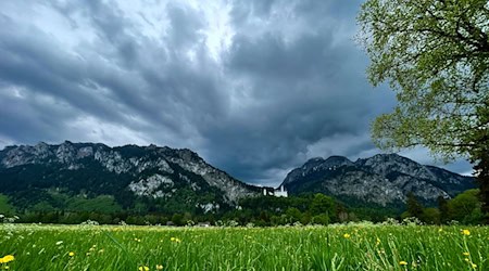 Die Bergsteigerin verunglückte laut Polizei beim Aufstieg zum Tegelberg nahe Schloss Neuschwanstein. (Archivbild) / Foto: Alex Forstreuter/dpa