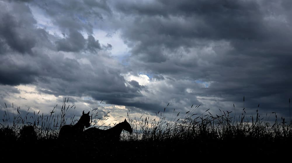 Der Wetterdienst erwartet unruhiges Wetter vor allem im Süden Bayerns. (Archivbild) / Foto: Karl-Josef Hildenbrand/dpa