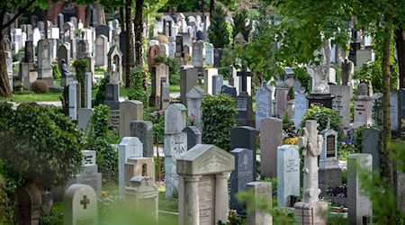 Die Täter sollen mehrere Gegenstände von Gräbern auf dem Friedhof gestohlen haben. (Symbolbild) / Foto: Sina Schuldt/dpa