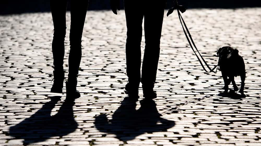 An zwei Orten in Bayern retteten zwei Zeugen Hunde von der Wärme aus Autos. (Symbolbild) / Foto: Robert Michael/dpa-Zentralbild/ZB