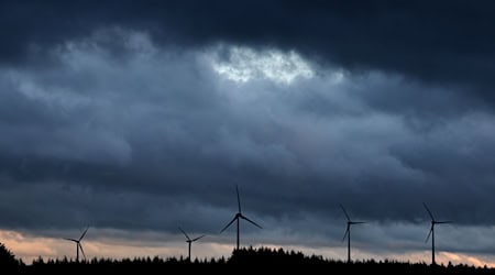 Windräder im Wald sorgten für Bürgerproteste. (Archivfoto) / Foto: Karl-Josef Hildenbrand/dpa