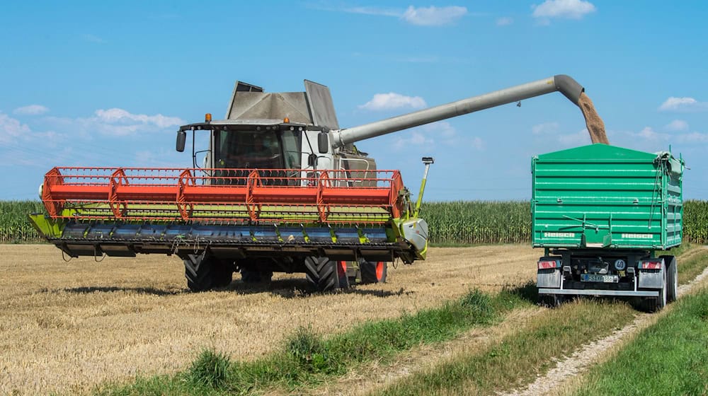 Die Getreideernte in Bayern ist so gut wie abgeschlossen. (Archivbild) / Foto: Lino Mirgeler/dpa