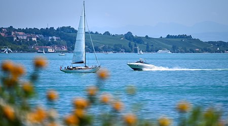 Eine Gruppe mietet für einen Ausflug am Bodensee drei Motorboote. (Symbolbild) / Foto: Felix Kästle/dpa