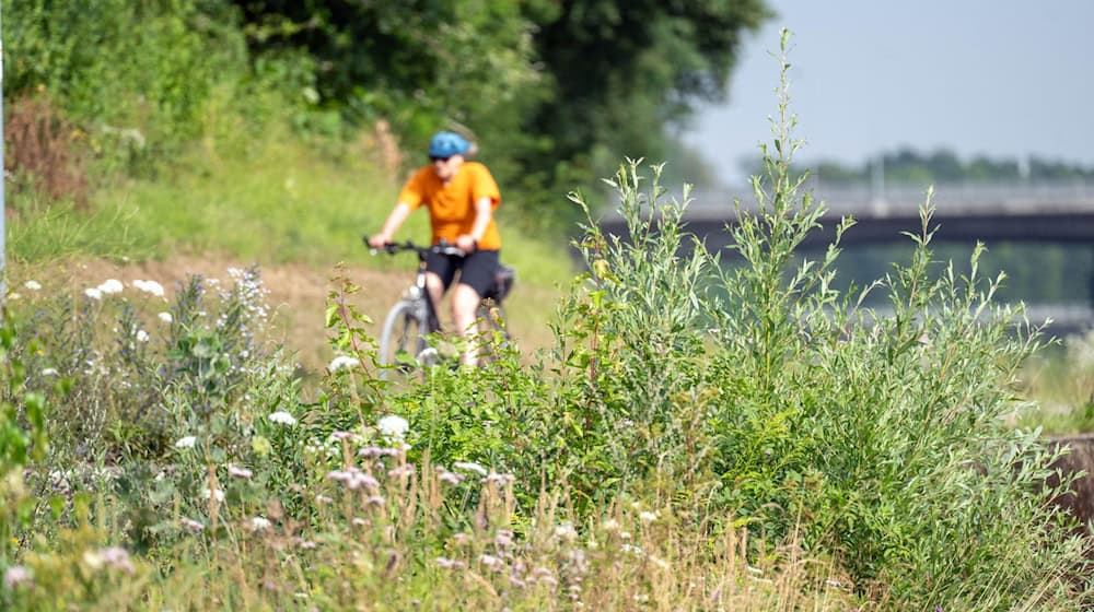 Mit einer neuen Radfahr-App soll der Fahrspaß für Radler in Bayern steigen. Vorgestellt hat die App das Bayerische Verkehrsministerium. (Symbolbild) / Foto: Pia Bayer/dpa