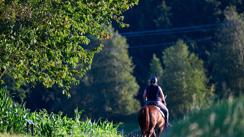 Eine Frau reitet auf ihrem Pferd durch eine hügelige Landschaft. Die Feuerwehr hat im Landkreis Rottal-Inn ein Pferd aus einem schlammigen Weiher befreit. (Symbolbild) / Foto: Felix Kästle/dpa