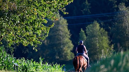 Eine Frau reitet auf ihrem Pferd durch eine hügelige Landschaft. Die Feuerwehr hat im Landkreis Rottal-Inn ein Pferd aus einem schlammigen Weiher befreit. (Symbolbild) / Foto: Felix Kästle/dpa