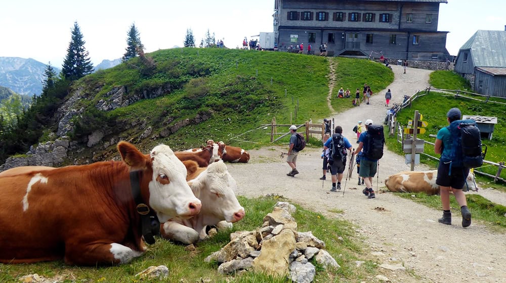 Das Rotwandhaus ist ein beliebtes Wanderziel. / Foto: Angelika Warmuth/dpa