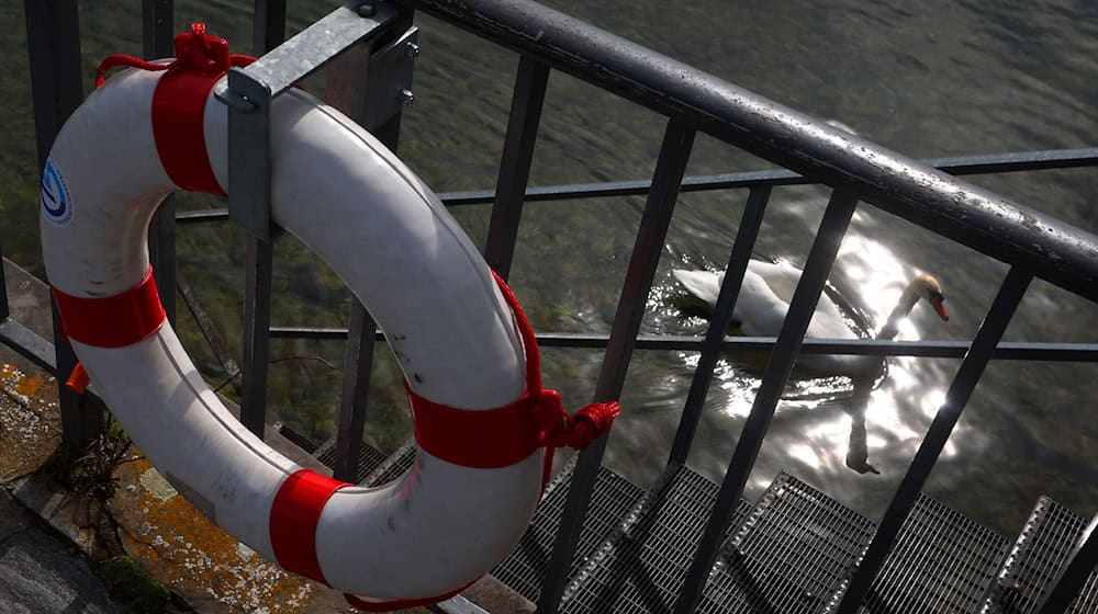 In der Nähe von Bregenz stieg der 29-Jährige ins Wasser. (Symbolbild) / Foto: Karl-Josef Hildenbrand/dpa