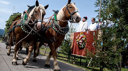 Der traditiopnelle Rosstag am Tegernsee lockt tausende Schaulustige an. (Archivbild) / Foto: picture alliance / Sven Hoppe/dpa