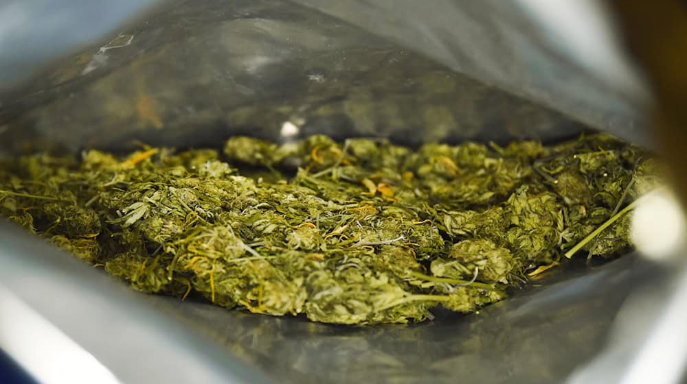 Ein 25-Jähriger ist wegen Verdachts auf Marihuana-Schmuggel festgenommen worden. (Symbolbild) / Foto: Nicolas Armer/dpa
