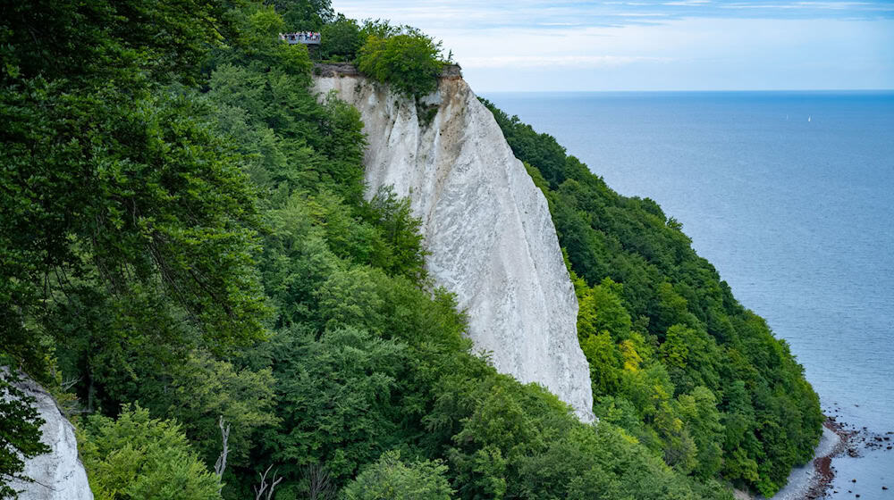 Zwei Wanderer haben bei einer Tour an der Steilküste im Nationalpark Jasmund den Weg zurück nur mit Hilfe von Rettern gefunden. (Symbolbild) / Foto: Stefan Sauer/dpa