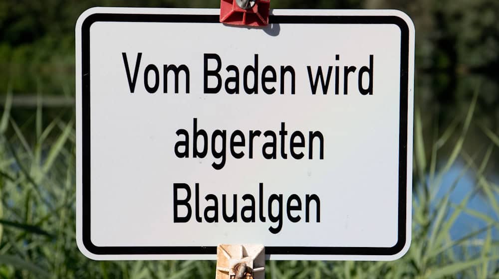 Im Landkreis Ansbach hat das Landratsamt seine Badewarnung wegen Belastung durch Blaualgen auf vier weitere Gewässer ausgedehnt. (Symbolbild) / Foto: Julian Stratenschulte/dpa