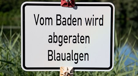 Im Landkreis Ansbach hat das Landratsamt seine Badewarnung wegen Belastung durch Blaualgen auf vier weitere Gewässer ausgedehnt. (Symbolbild) / Foto: Julian Stratenschulte/dpa