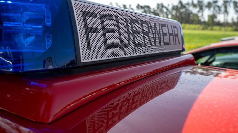 Feuerwehrleute pumpen Wasser in den See in München. (Symbolbild) / Foto: Pia Bayer/dpa