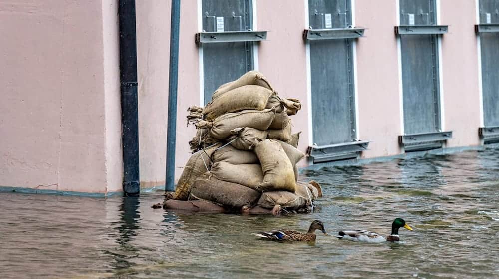 Noch ist es ungewiss, wie sich die Hochwasserlage in Passau entwickeln wird. / Foto: Armin Weigel/dpa