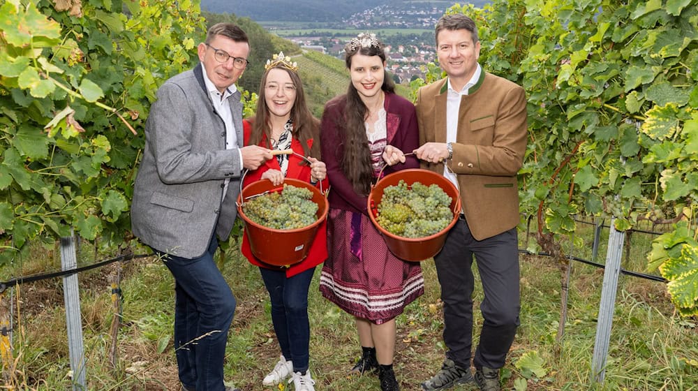 Staatssekretär Sandro Kirchner (CSU, r) vertrat bei der Eröffnung der Weinlese die krankheitsbedingt fehlende Landwirtschaftsministerin Michaela Kaniber (CSU). / Foto: Julien Becker/dpa