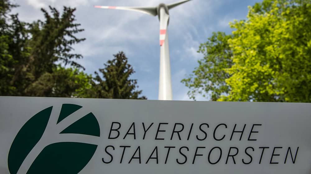 Die Staatsforsten planen den ersten Windpark, den das Unternehmen in Eigenregie betreiben will.  / Foto: Armin Weigel/dpa