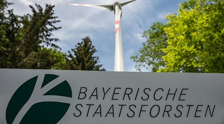 Die Staatsforsten planen den ersten Windpark, den das Unternehmen in Eigenregie betreiben will.  / Foto: Armin Weigel/dpa