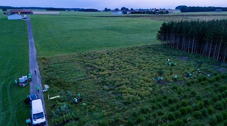 Die geplanten Gasbohrungen in Reichlingen sorgen seit Monaten für viel Kritik. / Foto: Lennart Preiss/dpa