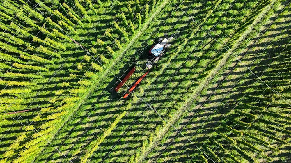 Die Frau wurde nach dem Betriebsunfall auf dem Feld schwer verletzt ins Krankenhaus gebracht. (Symbolbild) / Foto: Felix Kästle/dpa