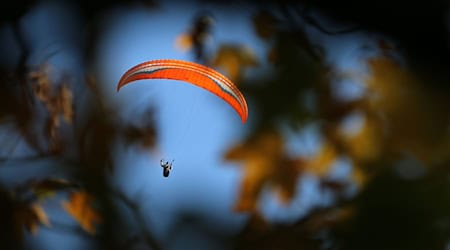 Ein Gleitschirmflieger verfing sich in Oberbayern in einem Baum. (Symbolbild) / Foto: Karl-Josef Hildenbrand/dpa