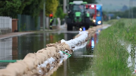 Landwirte in einigen Landesteilen bekommen mehr Hochwasserhilfe. (Archivbild) / Foto: Karl-Josef Hildenbrand/dpa