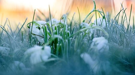 Der Oktober in Bayern: Ein ungewöhnlich warmer Herbstmonat mit starken Wetterkontrasten – von Föhnwinden und sommerlichen Temperaturen bis zu kühlen Frostnächten. (Symbolbild) / Foto: Pia Bayer/dpa