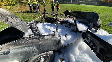 Ein von der Polizei zur Verfügung gestelltes Bild zeigt das ausgebrannte Fahrzeug.  / Foto: Polizeiinspektion Münchberg/dpa