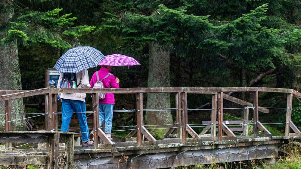 Bis mindestens Montag rechnet der Deutsche Wetterdienst mit Regen in Teilen Bayerns (Archivbild). / Foto: Armin Weigel/dpa