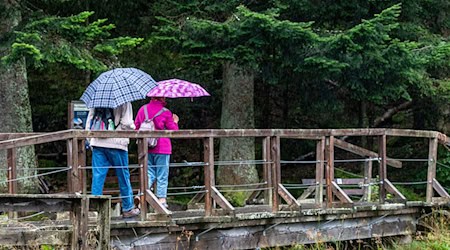 Bis mindestens Montag rechnet der Deutsche Wetterdienst mit Regen in Teilen Bayerns (Archivbild). / Foto: Armin Weigel/dpa