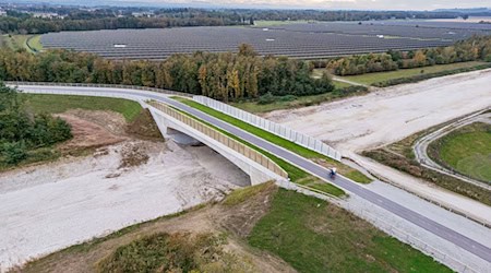 Eine Brücke für Fledermäuse? Muss das sein, fragt der Steuerzahlerbund - und gibt selbst eine Antwort. / Foto: Armin Weigel/dpa