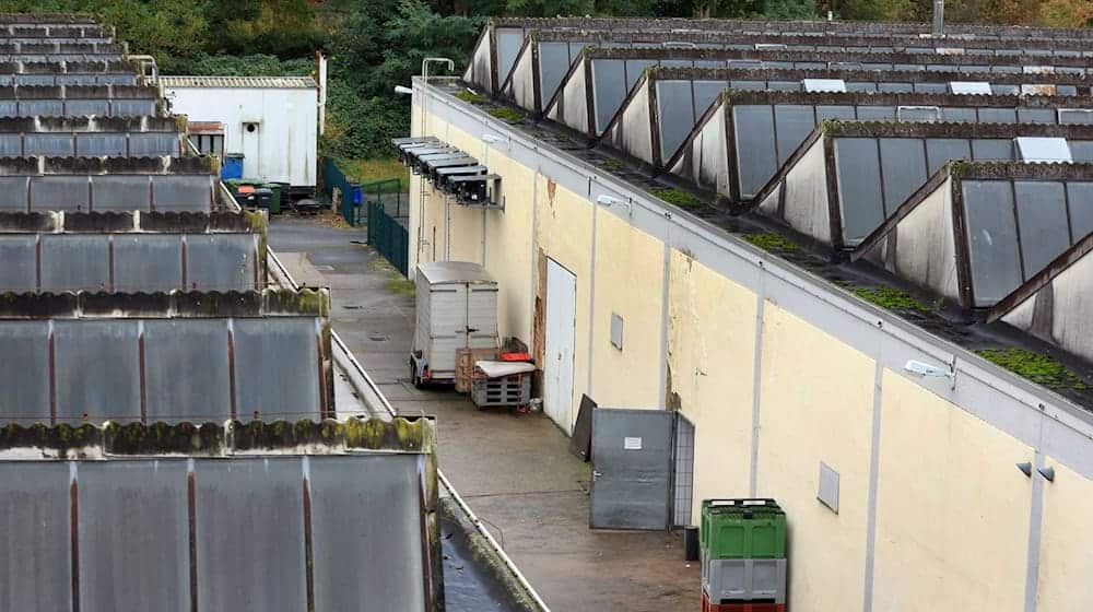 Der Aschaffenburger Schlachthof ist wegen Tierschutzverstößen in die Schlagzeilen geraten. (Archivfoto) / Foto: Karl-Josef Hildenbrand/dpa