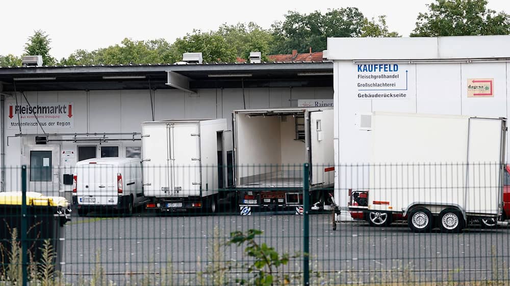 Zwei Tierärztinnen stehen im Zusammenhang mit dem Skandal um den Schlachthof Aschaffenburg vor Gericht. (Archivbild) / Foto: Heiko Becker/dpa