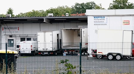 Zwei Tierärztinnen stehen im Zusammenhang mit dem Skandal um den Schlachthof Aschaffenburg vor Gericht. (Archivbild) / Foto: Heiko Becker/dpa