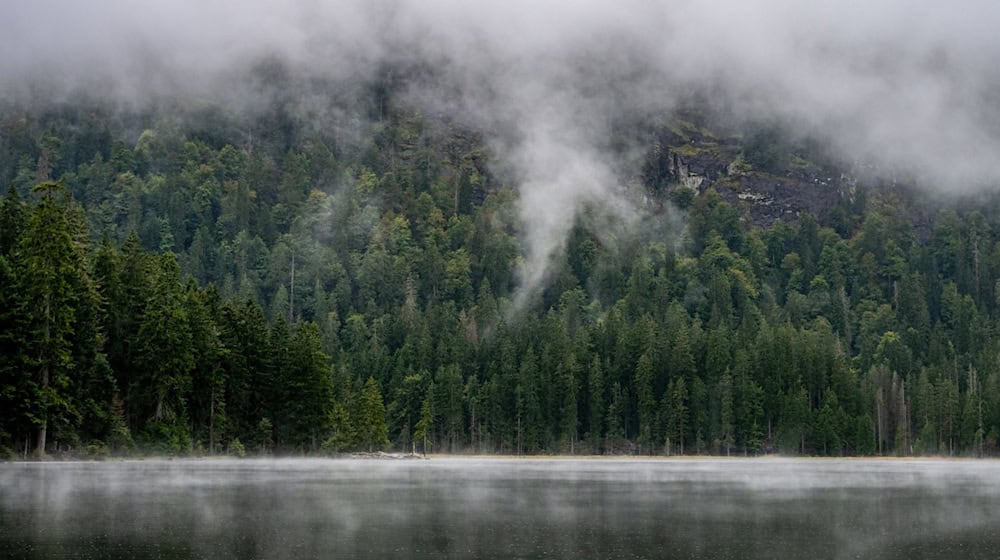 Viel Nebel und bewölkt - so lautet die Wettervorhersage für Bayern. (Symbolbild) / Foto: Armin Weigel/dpa