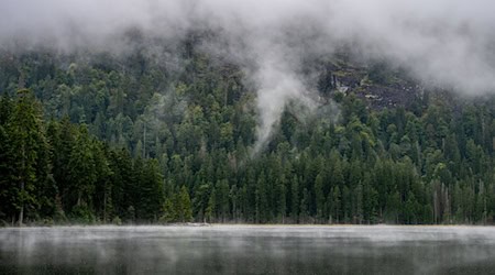 Viel Nebel und bewölkt - so lautet die Wettervorhersage für Bayern. (Symbolbild) / Foto: Armin Weigel/dpa