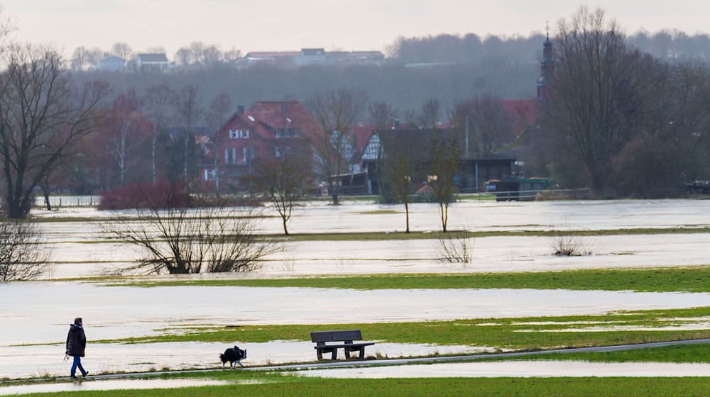 Der Bund fördert das Projekt mit 4,13 Millionen Euro. (Symbolbild) / Foto: Andreas Arnold/dpa