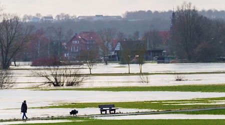 Der Bund fördert das Projekt mit 4,13 Millionen Euro. (Symbolbild) / Foto: Andreas Arnold/dpa