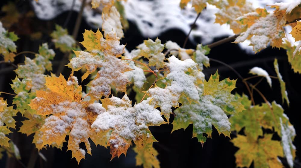 Mehr als fünf Zentimeter Neuschnee erwartet der Deutsche Wetterdienst in den meisten Regionen Bayerns nicht. (Archivbild) / Foto: Karl-Josef Hildenbrand/dpa