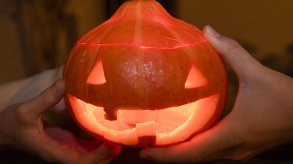 Zu Halloween leuchten vor vielen Häusern Kerzen in ausgehöhlten Kürbissen. (Symbolbild) / Foto: Felix Hörhager/dpa