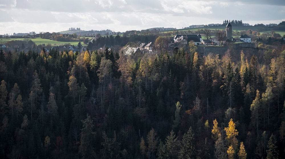 Der Landkreis Hof erwartet, dass die Frankenwaldbrücken in den ersten beiden Jahren bis zu 300.000 Besucherinnen und Besucher in die Region locken werden. (Symbolbild) / Foto: Daniel Vogl/dpa