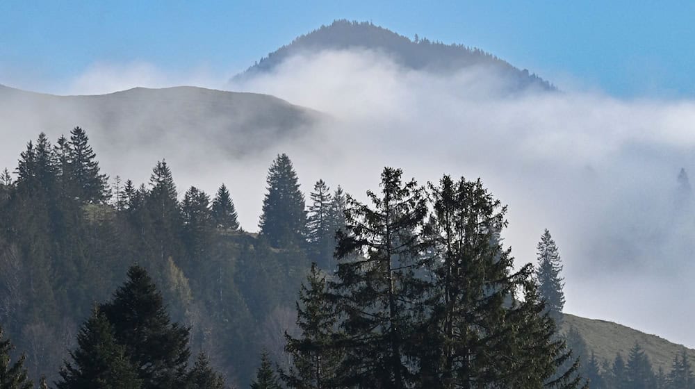 Viel Nebel und Sonne nur in höheren Lagen: Das sagt der Deutsche Wetterdienst für dieses Wochenende voraus. (Symbolbild) / Foto: Uwe Lein/dpa