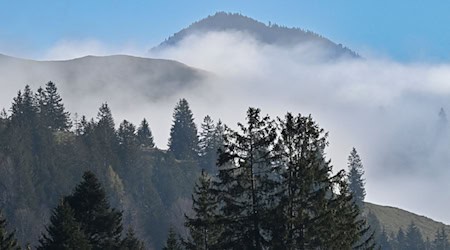 Viel Nebel und Sonne nur in höheren Lagen: Das sagt der Deutsche Wetterdienst für dieses Wochenende voraus. (Symbolbild) / Foto: Uwe Lein/dpa