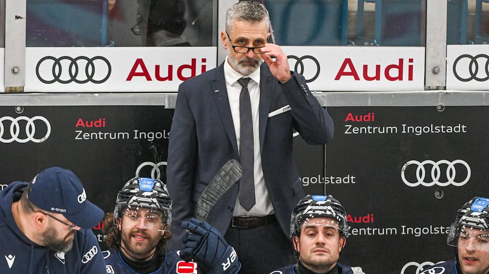 Mark French bleibt Trainer in Ingolstadt. / Foto: Armin Weigel/dpa