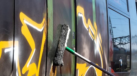 Vor allem in Ballungsräumen hat die Bahn mit Graffiti-Delikten zu kämpfen (Archivbild). / Foto: Sebastian Willnow/dpa-Zentralbild/dpa