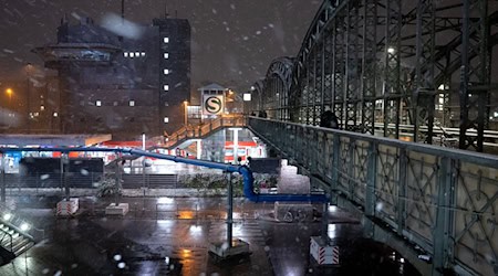 Züge zum Münchner Hauptbahnhof müssen die Hackerbrücke passieren. (Archivfoto) / Foto: Sven Hoppe/dpa